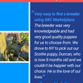 AKC Marketplace for Breeders