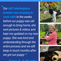AKC Marketplace for Breeders