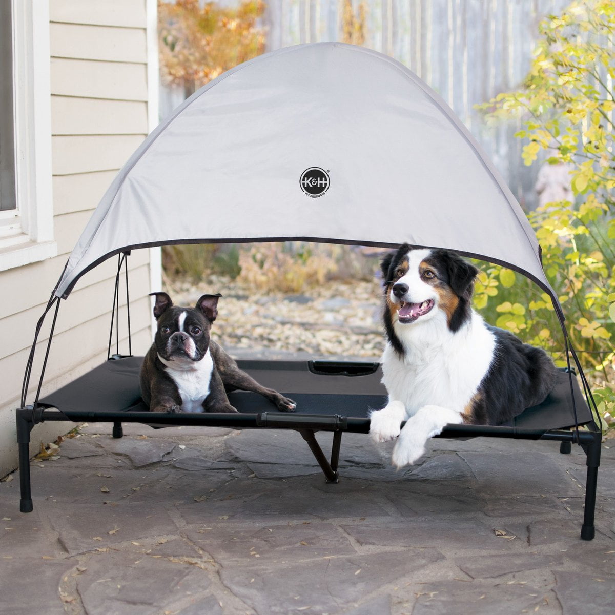 Raised dog fashion bed with canopy