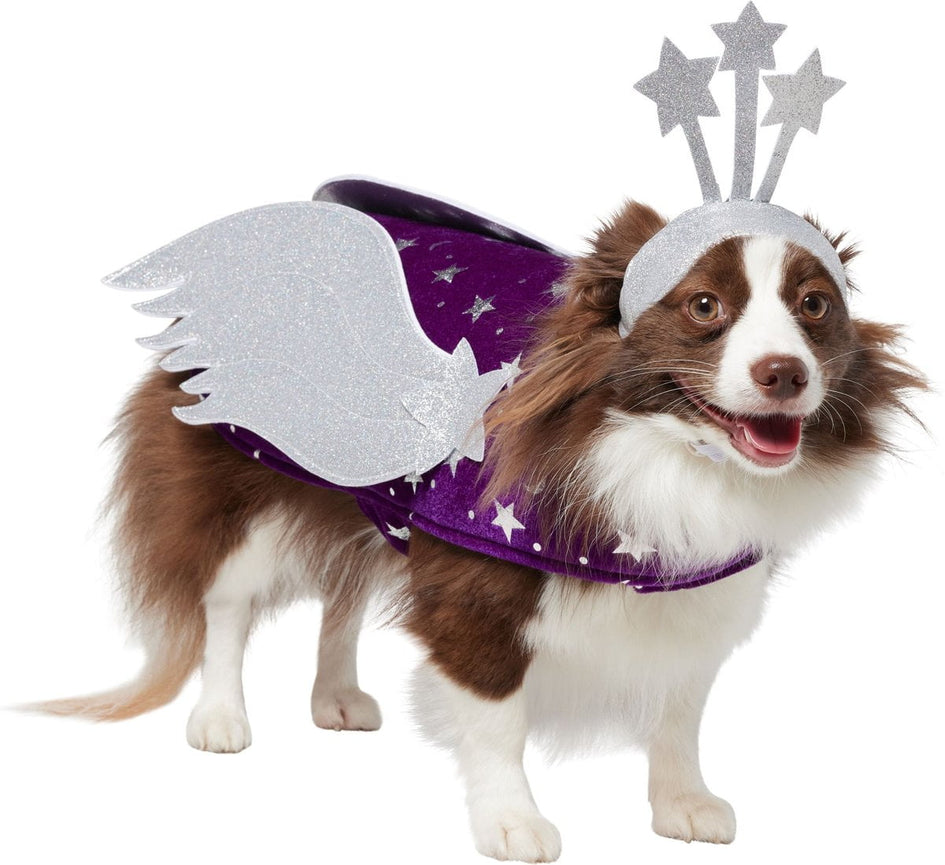 Frisco Shooting Stars Dog Costume