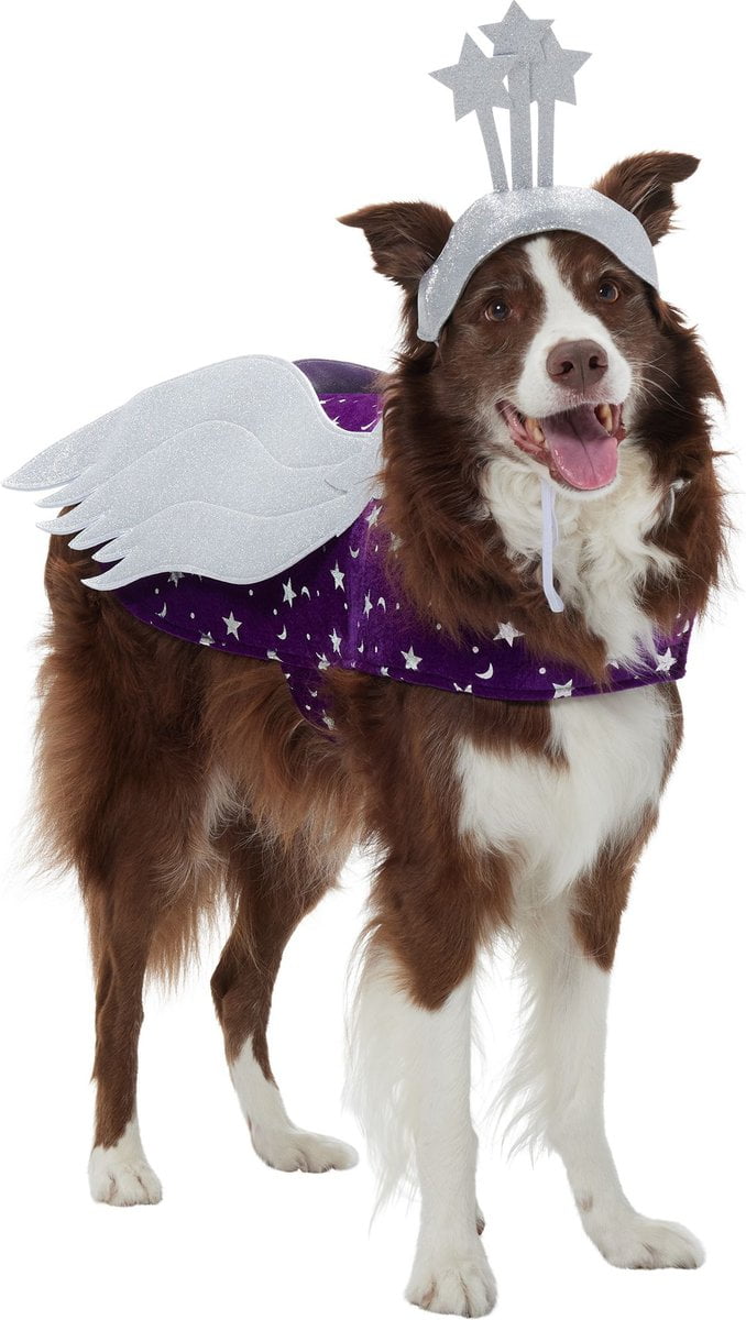 Frisco Shooting Stars Dog Costume