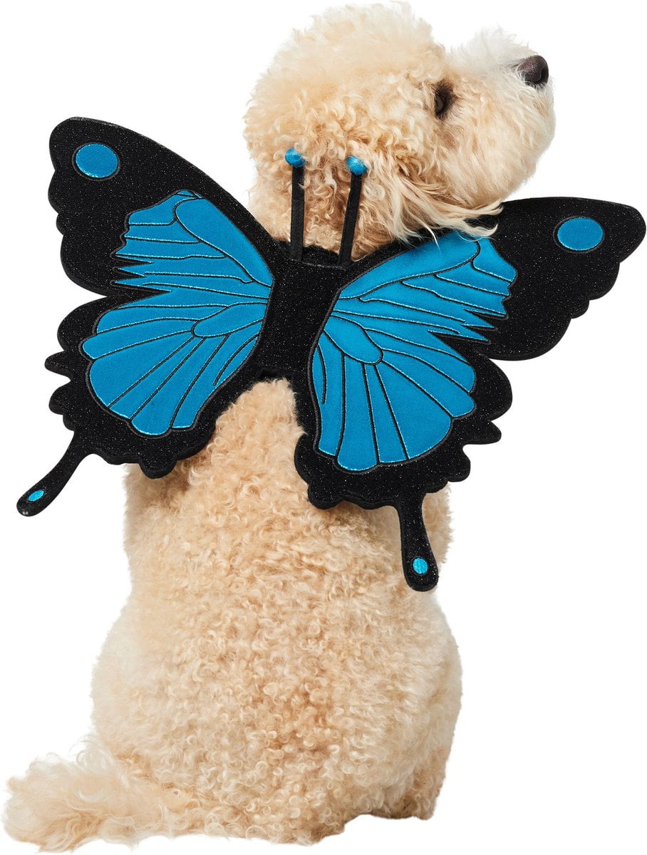 Frisco Magical Butterfly Wings Dog Costume Accessory