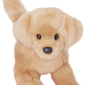Douglas Golden Retriever  16” floppy