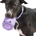 Wild One Tennis Tumble Dog Toy