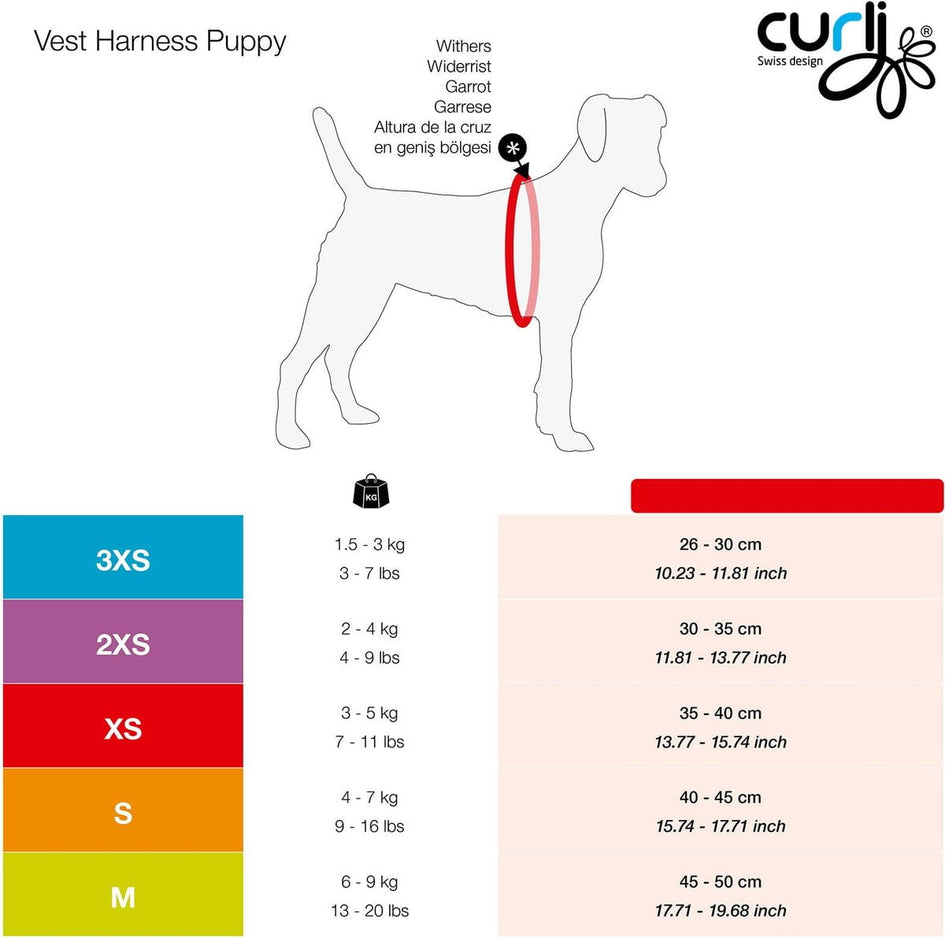 Curli Vest Air-Mesh Dog Harness & Dog Leash