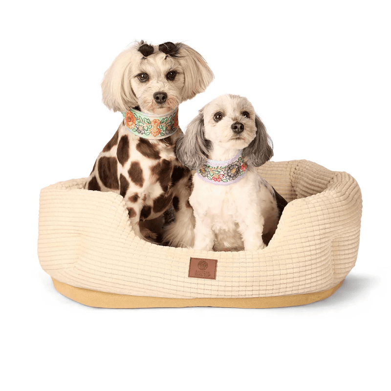 American Kennel Club 26