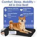 American Kennel Club Orthopedic Memory Foam Dog Crate Bed, Egg Crate Foam, Washable Cover, Non-Skid Bottom, Relieves Joint Pain, Breathable, Durable, 36x23, Black