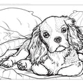 AKC Ultimate Dog Coloring Book