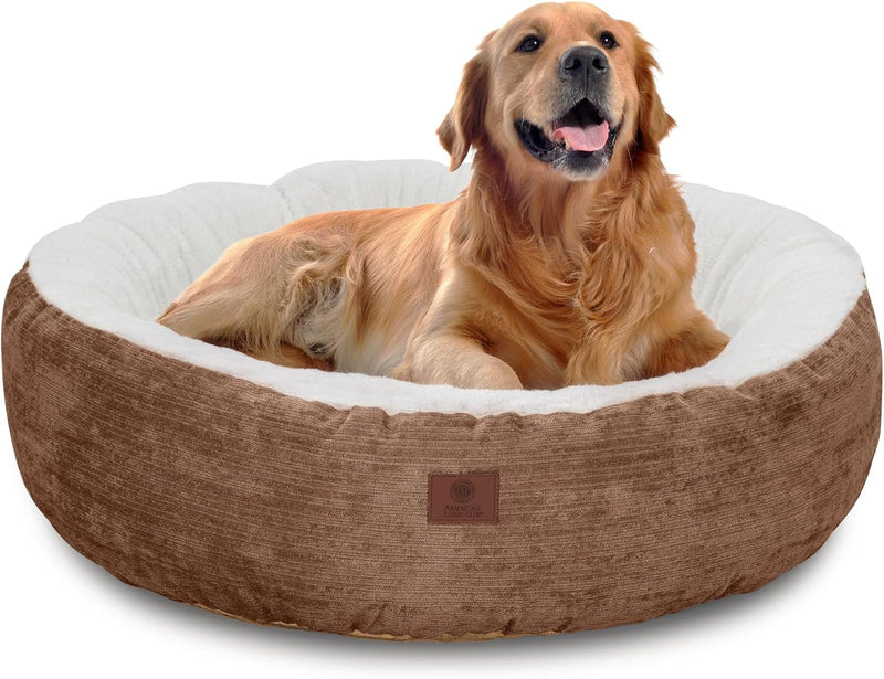 American Kennel Club 25