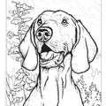 AKC Ultimate Dog Coloring Book