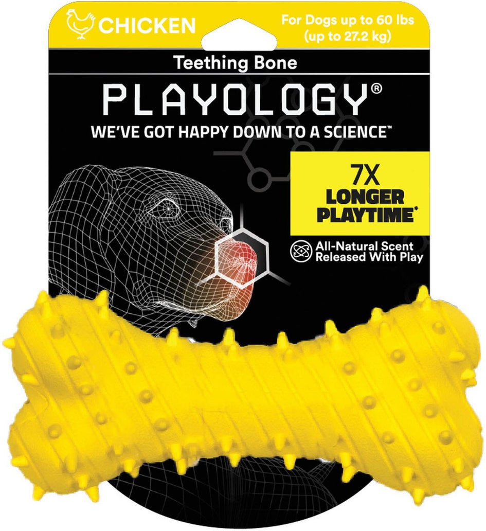Playology Puppy Teething Bone Chicken Dog Toy, Yellow, Large | AKC Shop Playology Puppy Teething Bone Chicken Dog Toy, Yellow, Large | AKC Shop