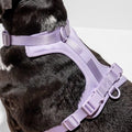 Wild One Adjustable Cushioned Dog Harness