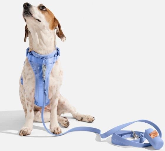 Wild One Adjustable Cushioned Dog Harness