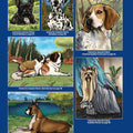 AKC Ultimate Dog Coloring Book