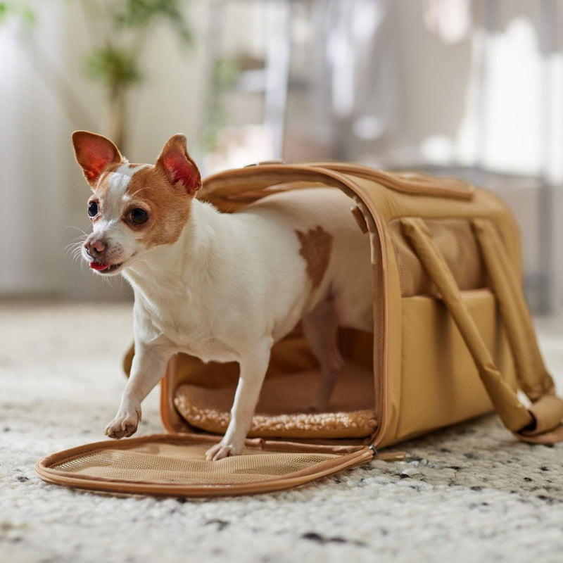 Frisco Soft-Sided Airline Compliant Dog Carrier