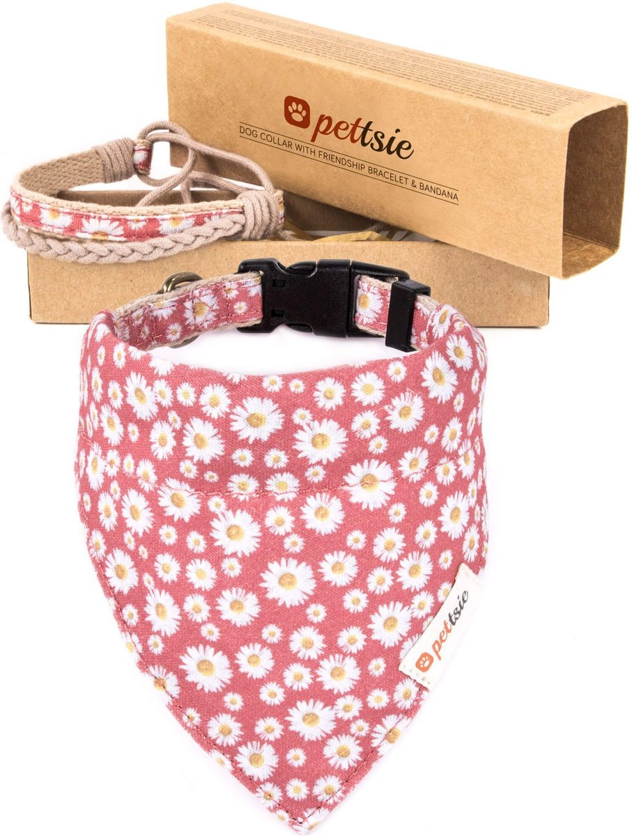 Pettsie Dog Collar Daisy Bandana AKC Shop - Main Image