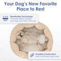 American Kennel Club 26" Clamshell Cuddler Dog Bed - Plush Popcorn Texture, Washable, Non-Slip, for Medium & Large Dogs