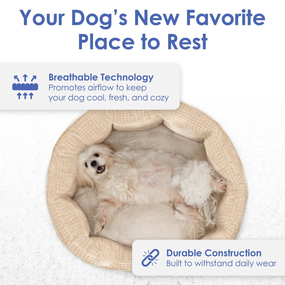 American Kennel Club 26" Clamshell Cuddler Dog Bed - Plush Popcorn Texture, Washable, Non-Slip, for Medium & Large Dogs