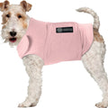 American Kennel Club AKC Anxiety Vest for Dogs