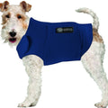 American Kennel Club AKC Anxiety Vest for Dogs