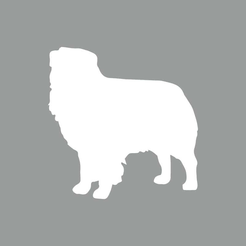 Australian Shepherd - Beanie