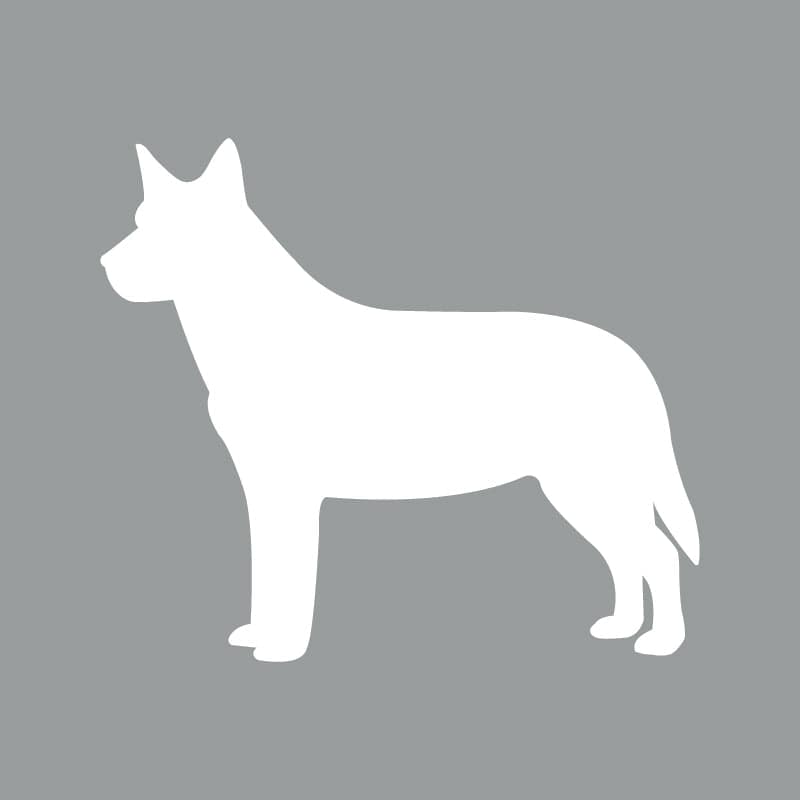 Australian Cattle Dog - Beanie