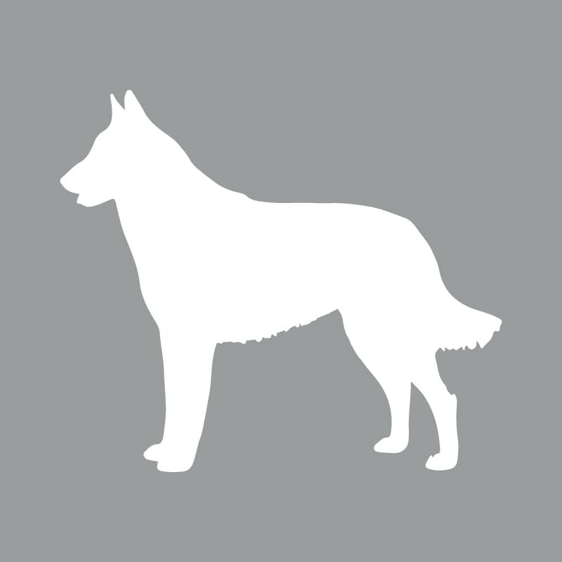 Belgian Malinois - Beanie