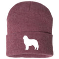 Bernese Mountain Dog - Beanie