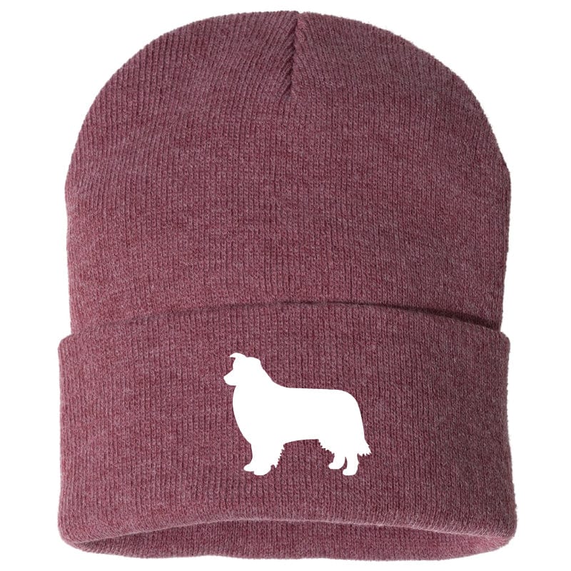 Border Collie - Beanie