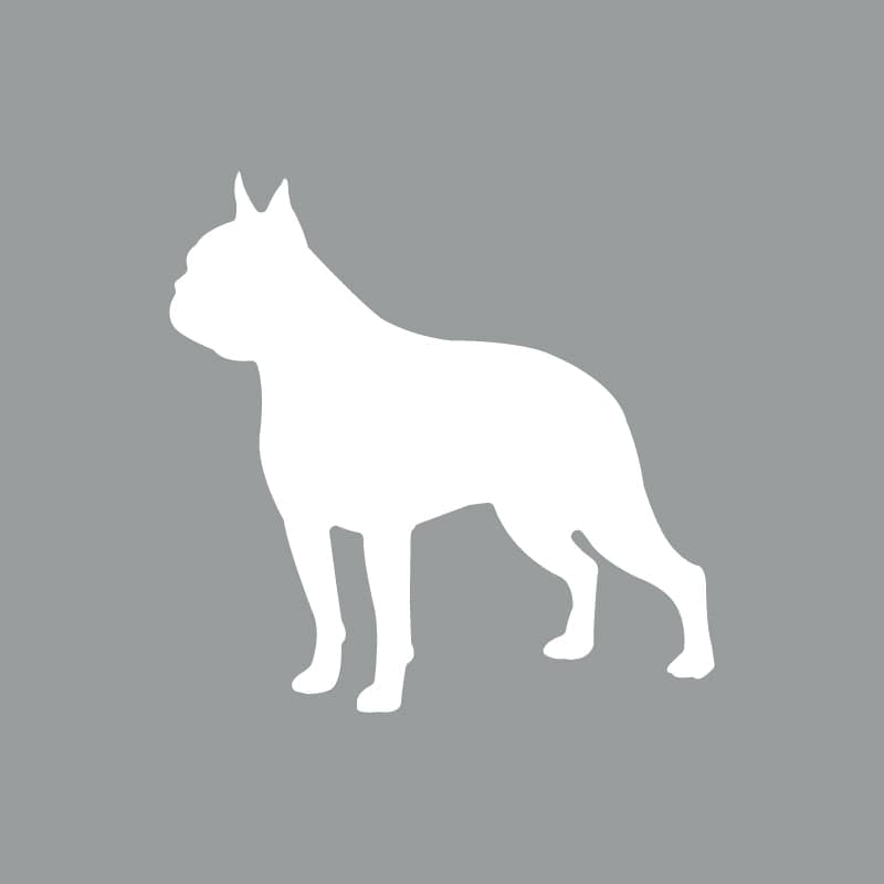 Boston Terrier - Beanie