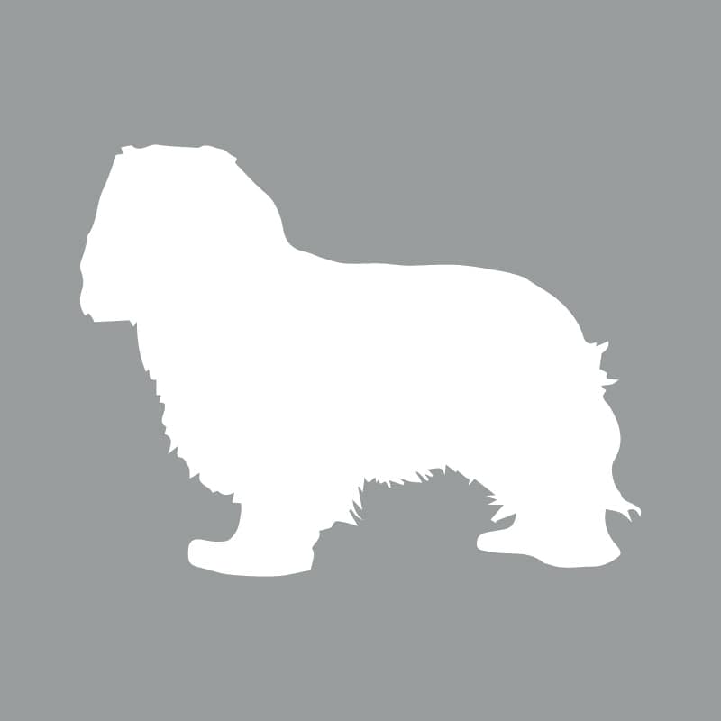 Cavalier King Charles Spaniel Beanie