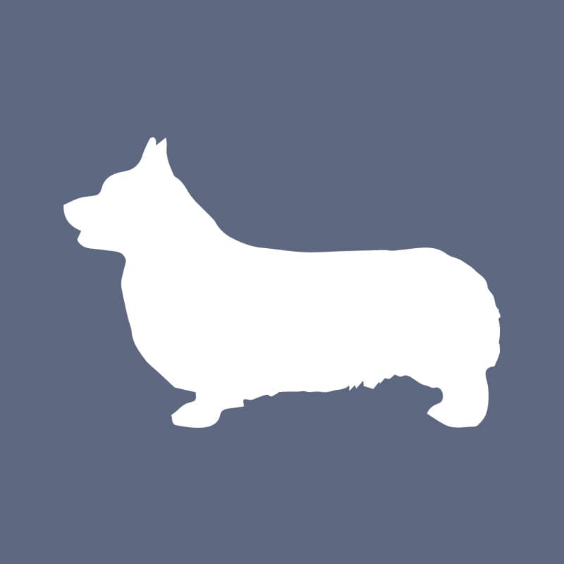 Pembroke Welsh Corgi - Beanie