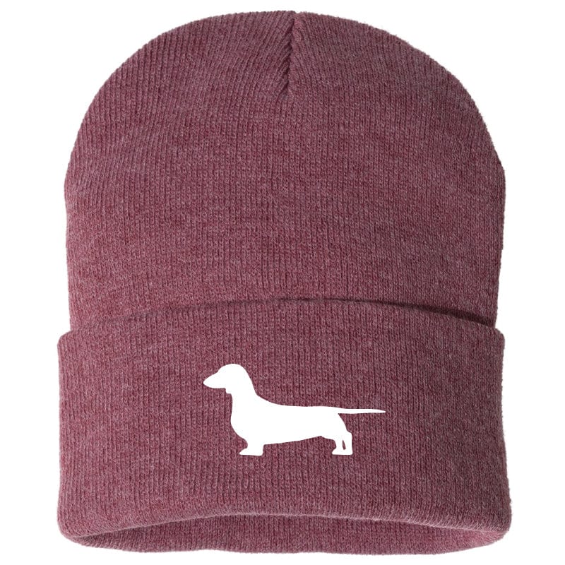 Dachshund - Beanie