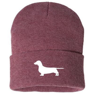 Dachshund  Beanie