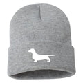 Dachshund - Beanie
