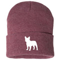 French Bulldog - Beanie