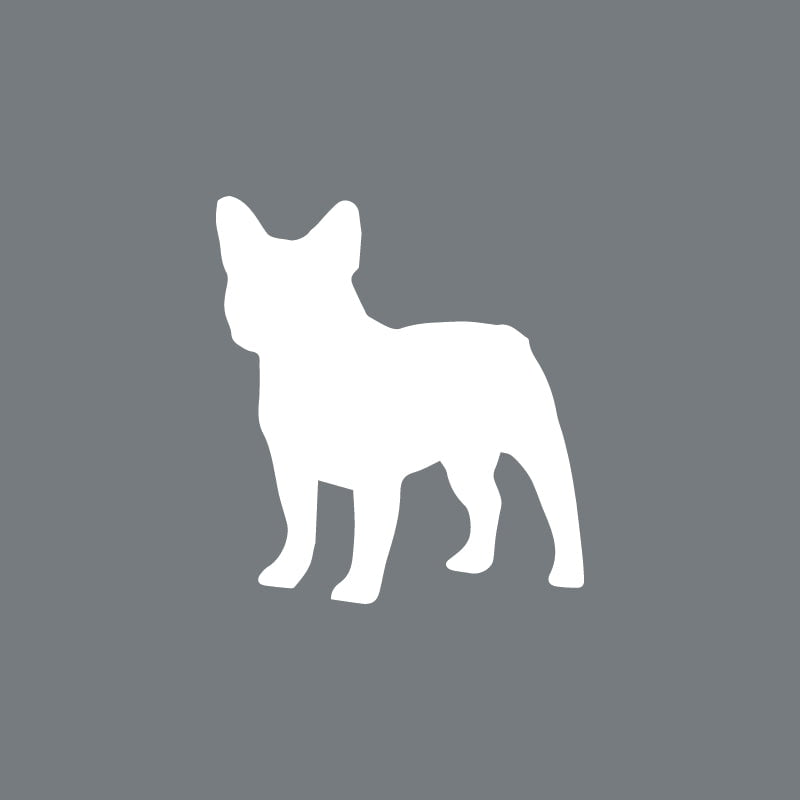 French Bulldog - Beanie