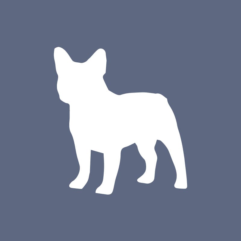 French Bulldog - Beanie