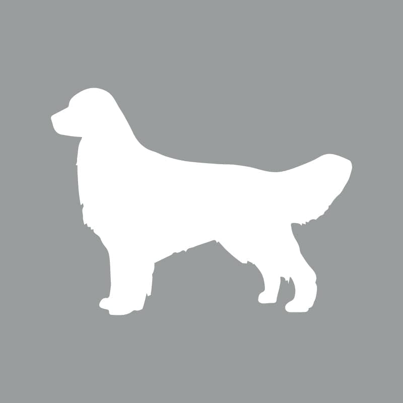 Golden Retriever - Beanie