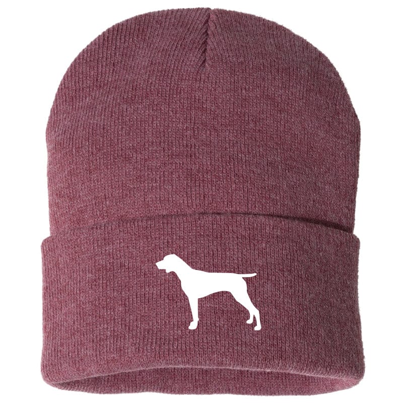 German Shorthair Pointer - Beanie
