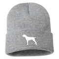 German Shorthair Pointer - Beanie