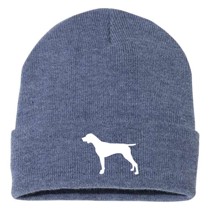 German Shorthair Pointer - Beanie
