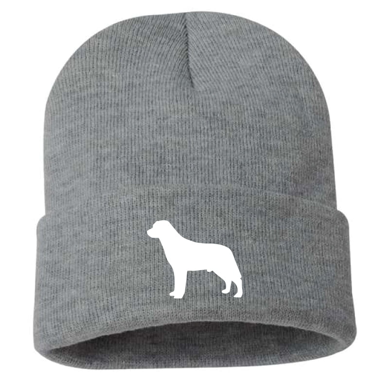 Labrador Retriever - Beanie