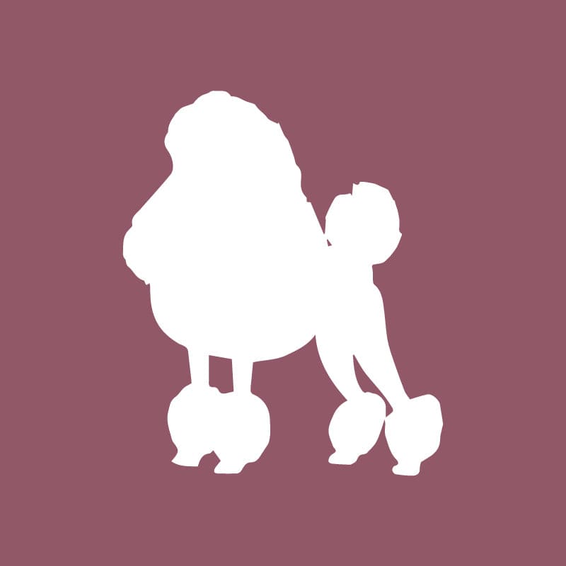 Poodle - Beanie
