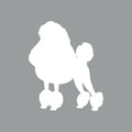 Poodle - Beanie