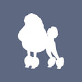 Poodle - Beanie