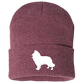 Rough Collie - Beanie