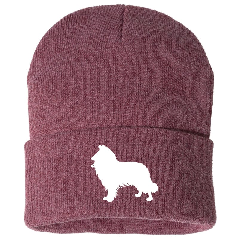 Rough Collie - Beanie