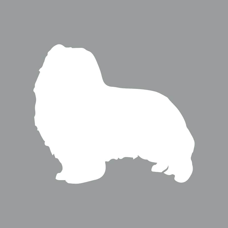 Shetland Sheepdog - Beanie