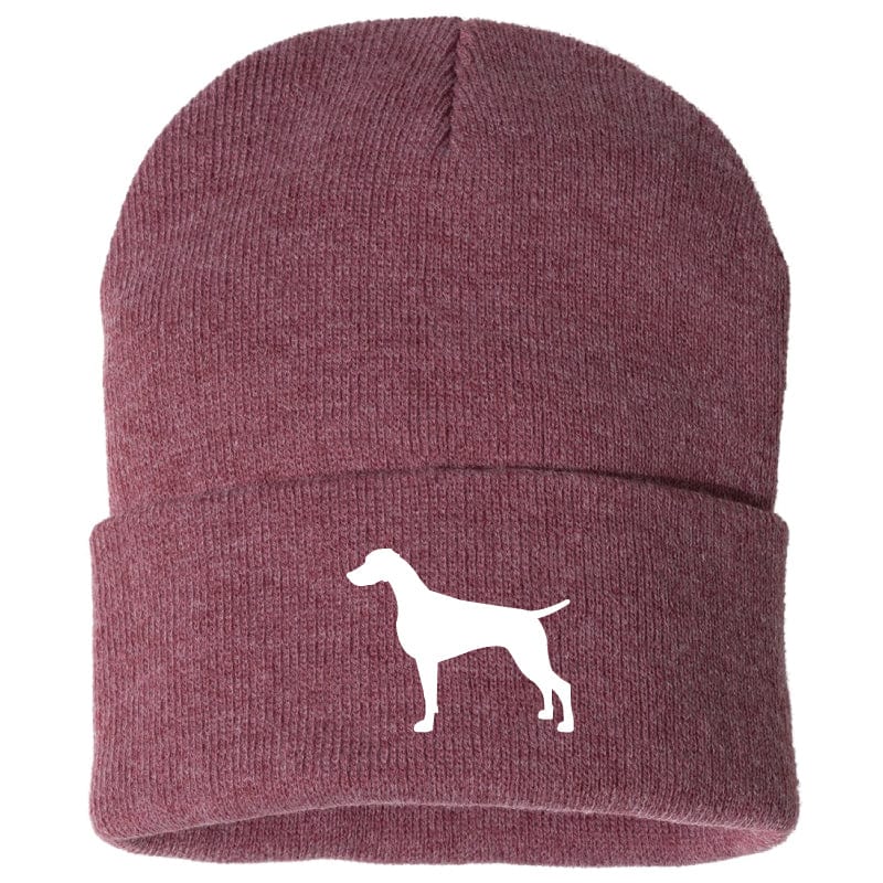 Weimaraner - Beanie